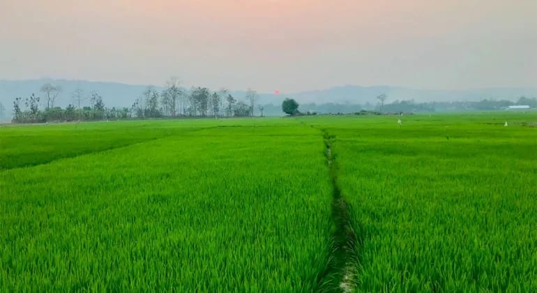 নিউজিল্যান্ড পাড়া খাগড়াছড়ি