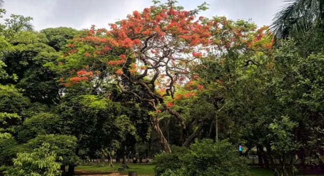 Ramna Park Dhaka