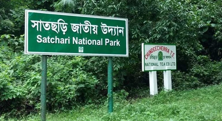 Satchari National Park Habiganj
