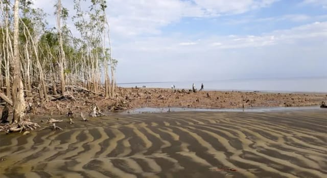 Kochikhali Sea Beach Bagerhat Kochikhali Sea Beach Bagerhat