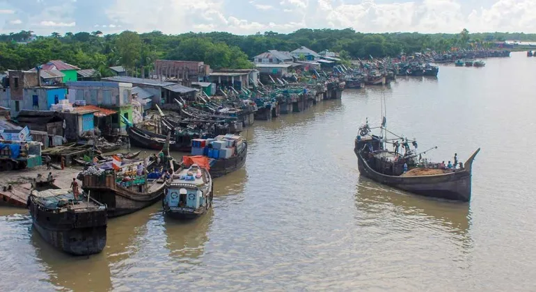 আলিপুর মাছের বাজার কুয়াকাটা