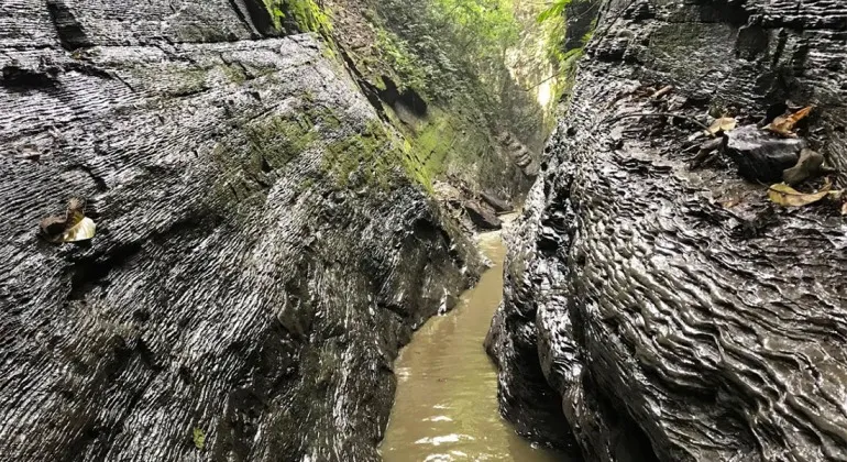 Chalanda Pass Chittagong