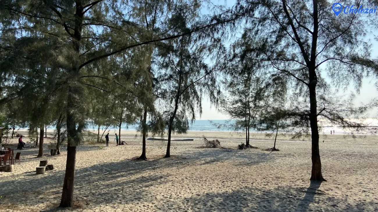 Doria Nogor Cox's Bazar – A Complete Guide to Cox's Bazar's Scenic Coastal Trip