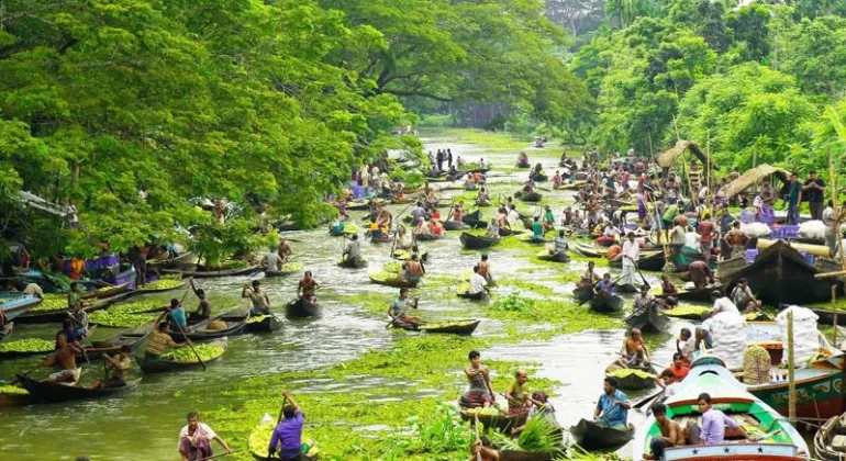Bhimruli, Jhalakathi Floating Market – A Complete Travel Guide to Bangladesh’s Famous Floating Guava Market