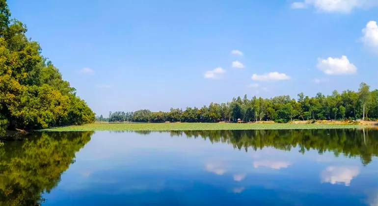 Jobai Beel Naogaon – Natural Wetland & Migratory Bird Sanctuary