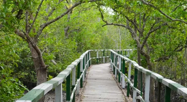Kalagachhia Eco Tourism Park, Satkhira, Bangladesh
