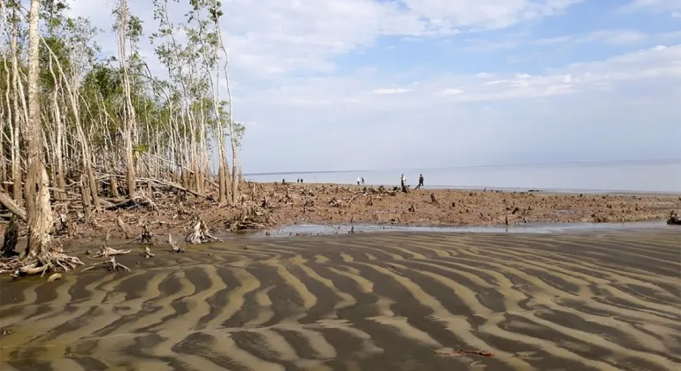 Kochikhali Sea Beach Bagerhat Kochikhali Sea Beach Bagerhat