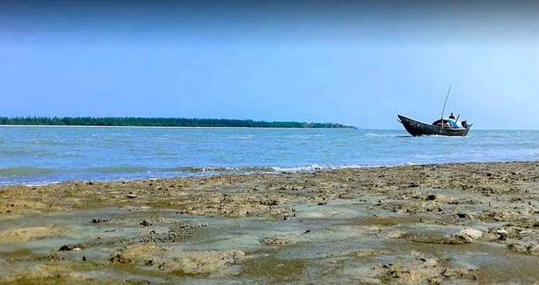 Laldia forest sea beach Barguna