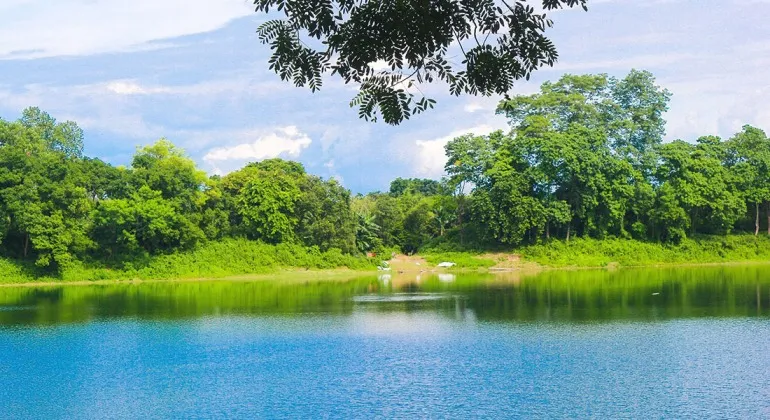 Maharaja's Pond Panchagarh