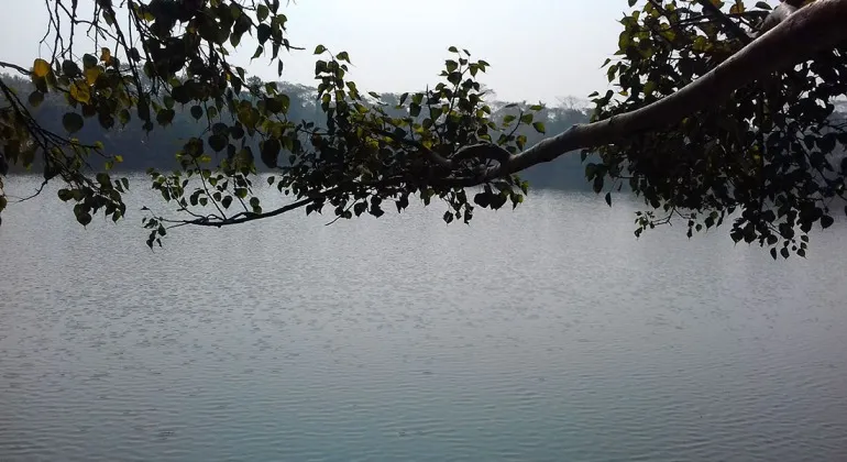 Mahisa's Digumbori Dighi, Shariatpur – History, Temples, Travel Guide & Visiting Information