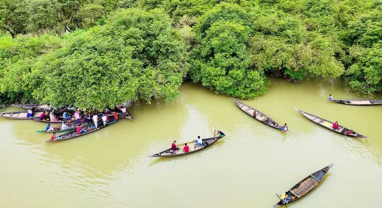 Ratargul Forest, Sylhet – Complete Travel Guide, Boat Rentals, Entry Fees and Travel Tips