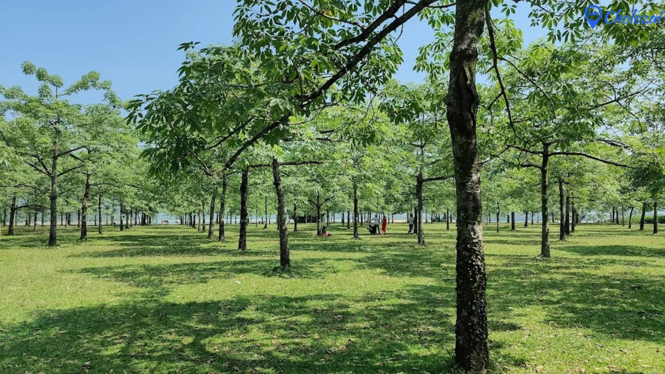 Shimul Garden, Sunamganj – A Complete Travel Guide to Bangladesh's Spectacular Red Flower Garden